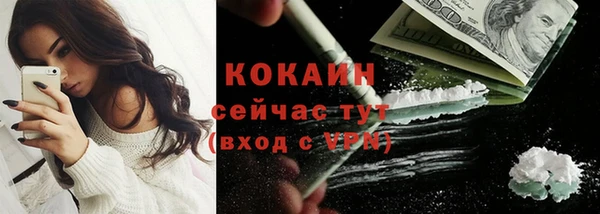 тгк Алзамай