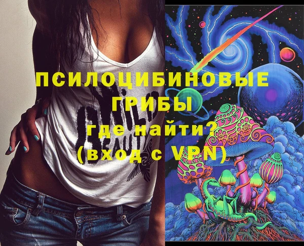 гашик Алексеевка
