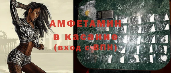 гашик Алексеевка