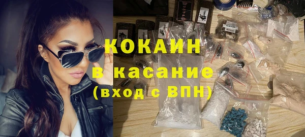 гашик Алексеевка