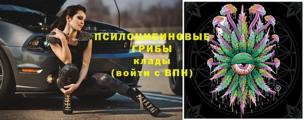 гашик Алексеевка